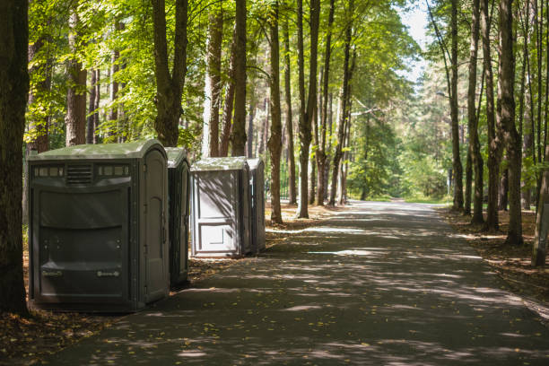 Best Affordable portable toilet rental  in St Clair Shores, MI